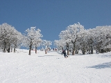 06シーズン　スキーキャンプ風景